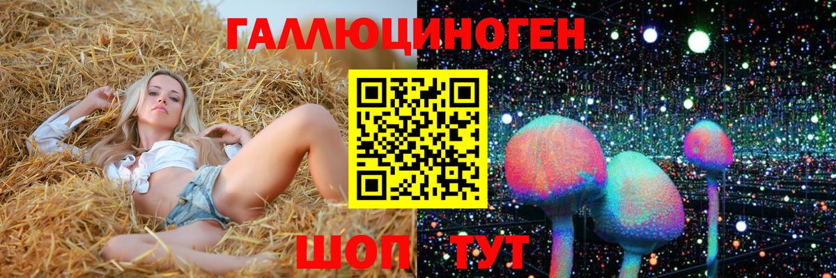Псилоцибиновые грибы Psilocybe  Вход с VPN  Улан-Удэ 